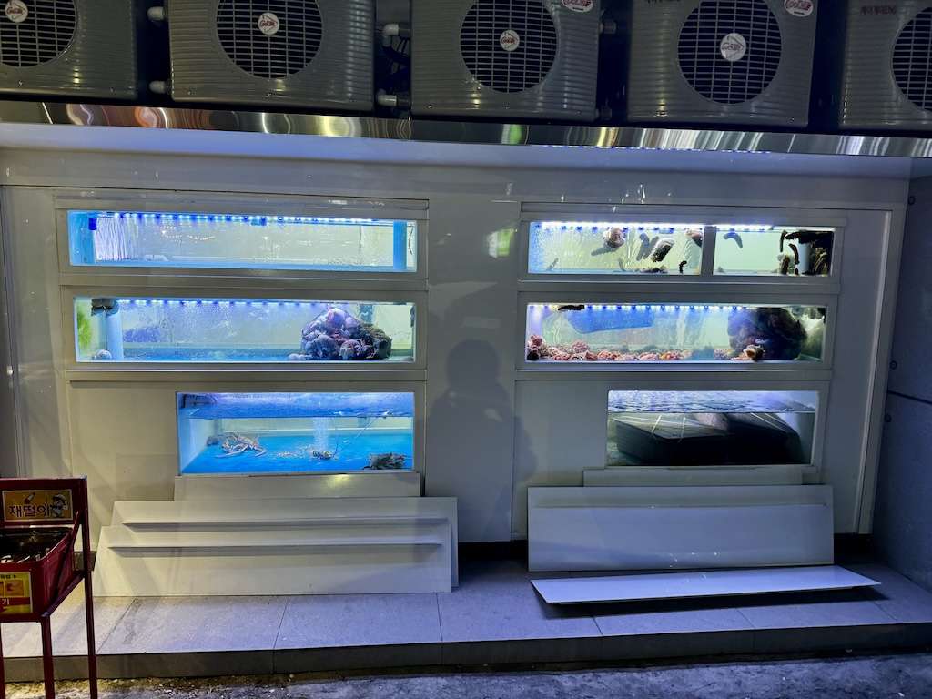 大邱カジノ外食