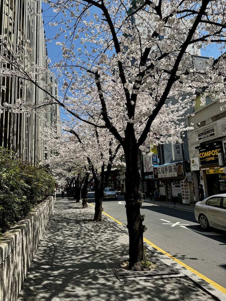 釜山ロッテホテル 
