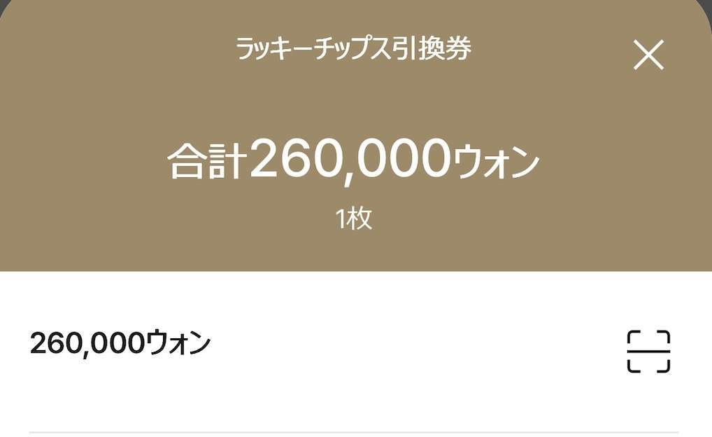 パラダイスシティ